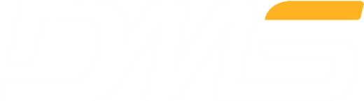 DMS — Digiview Marketing Services
